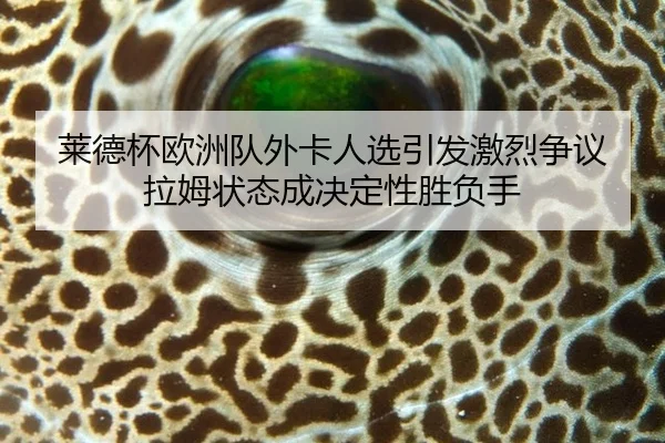 莱德杯欧洲队外卡人选引发激烈争议 拉姆状态成决定性胜负手