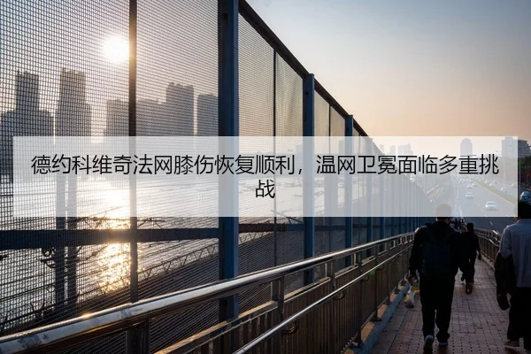 de-yue-ke-wei-qi-fa-wang-xi-shang-hui-fu-shun-li-wen-wang-wei-mian-mian-lin-duo-zhong-tiao-zhan-2-588.jpg
