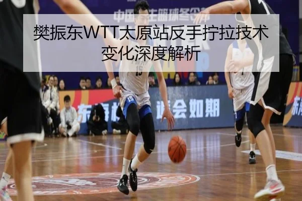 樊振东WTT太原站反手拧拉技术变化深度解析